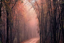 九球体育官网:上海申花0-4不敌川崎前锋 总比分1-4无缘亚冠八强.