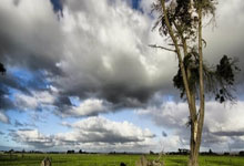 九球体育官网:经纪人:图多尔当然很高兴执教尤文 合同会在7月份结束?我不能说.