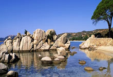 主力选手领衔!法兰克福站,国乒会回暖吗?环球时报.